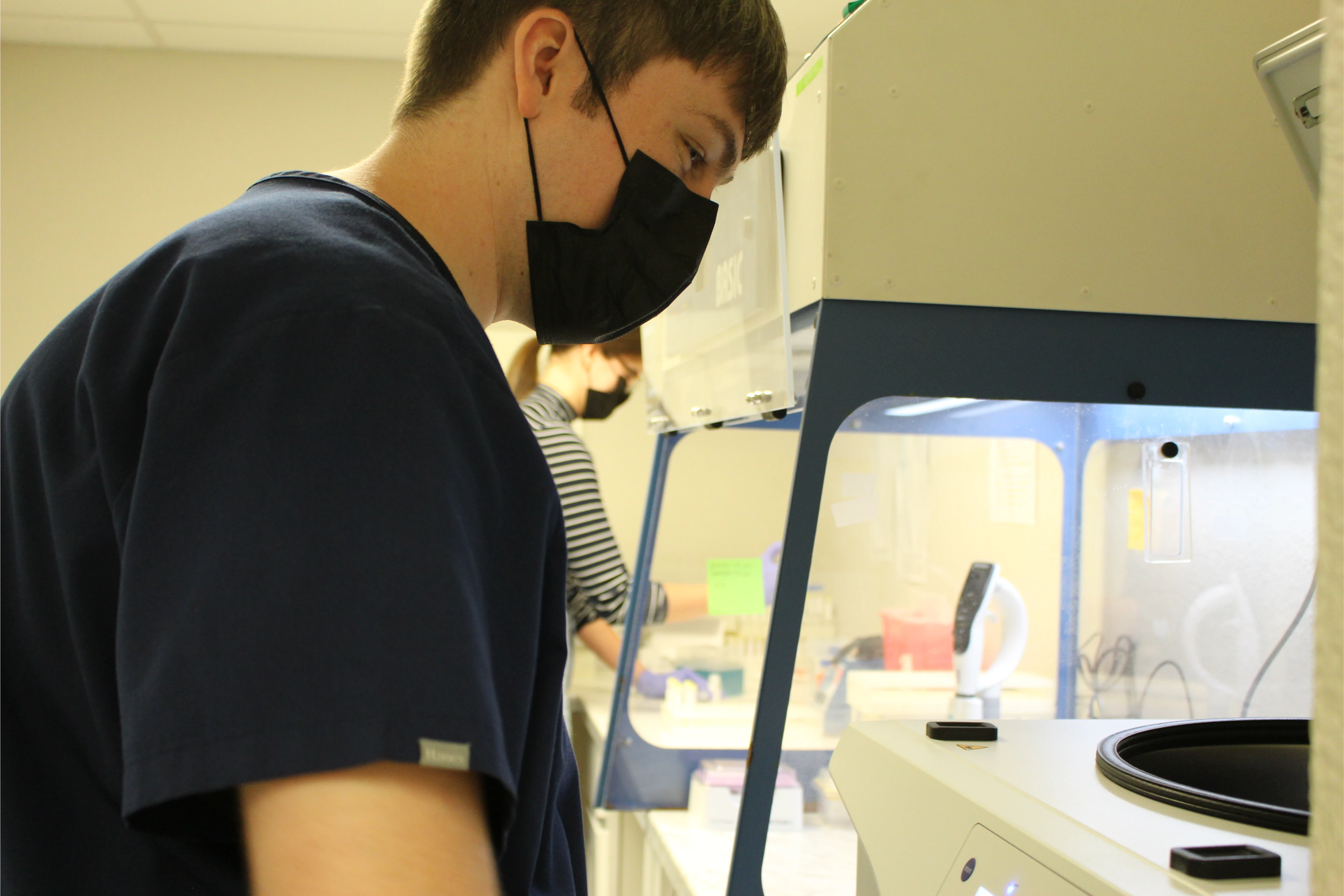 Laboratory sample handling at CAR-GM