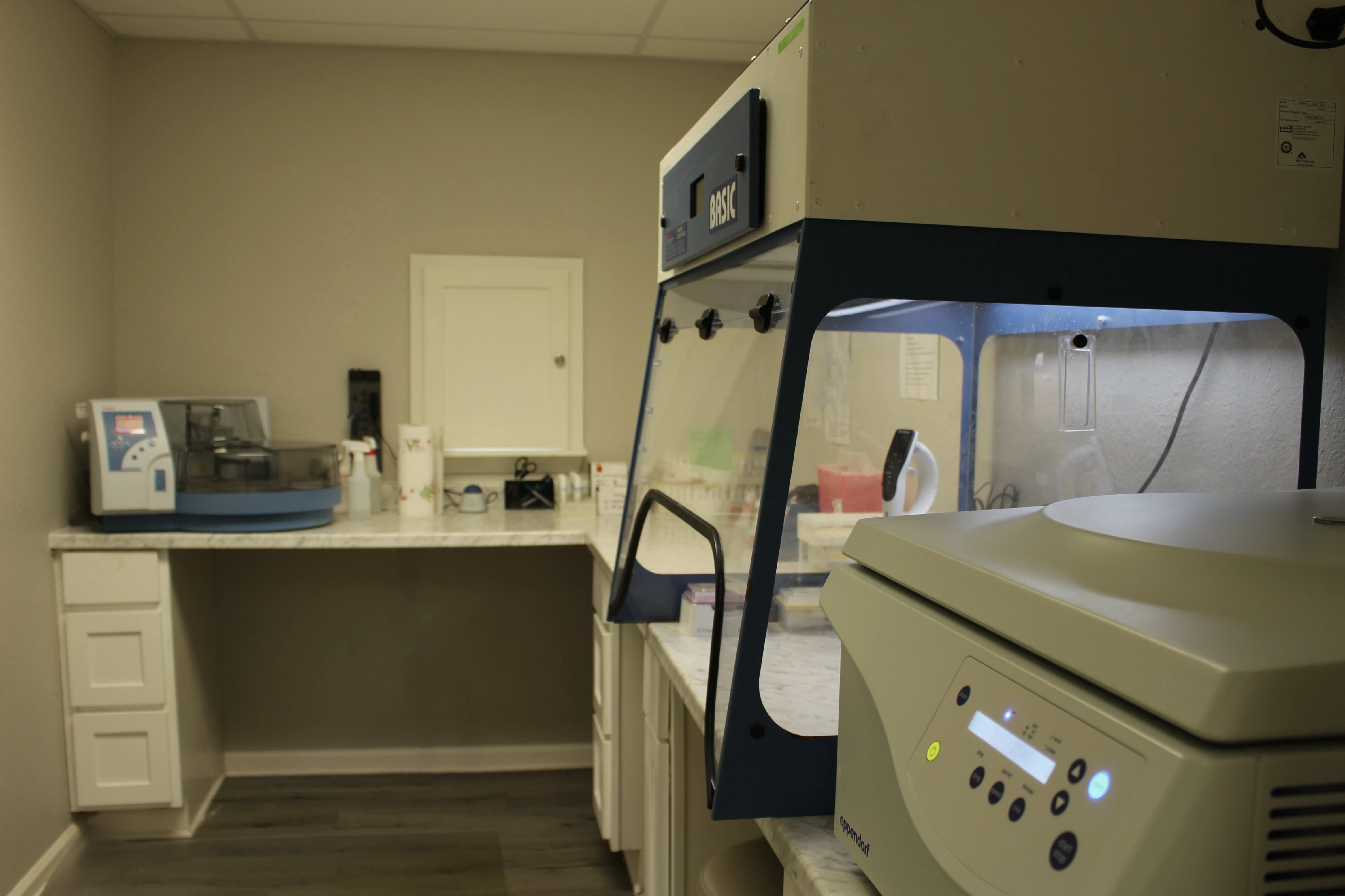 Molecular diagnostic equipment inside the CAR-GM lab